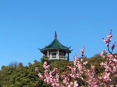 -无锡梅园公园