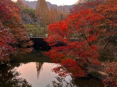 -田野绿世界