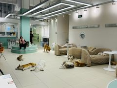 -怪兽屋·羊驼·猫咖·狗咖(俊华广场店)
