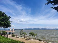 -深圳湾公园(南山区)