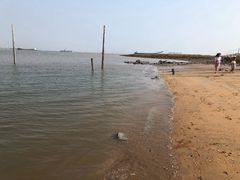 -东疆建设开发纪念公园