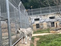 -黔灵山公园