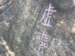-南山植物园