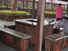 -春花秋色城市公园