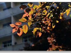 -陕西师范大学(雁塔校区)