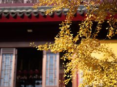 -鸡鸣寺