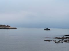 -桂马·日本料理·海胆·海鲜饭·酒场(民主广场店)
