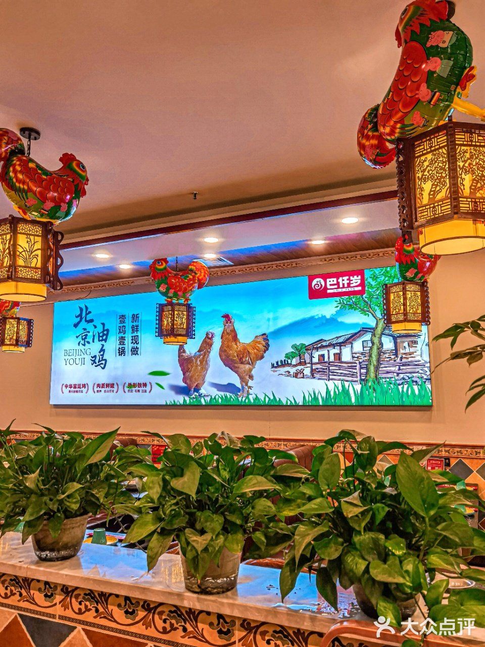 四趾为鸡 五趾为凤 在巴仟岁吃到了贡品油鸡火锅[调皮]