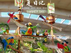 -南宫五洲植物乐园