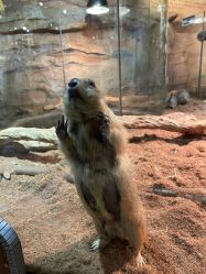 -Zoolung Zoolung动物主题公园(海信广场店)