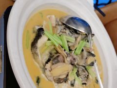 -饭怕鱼·黄焖鲟龙鱼(湖大店)