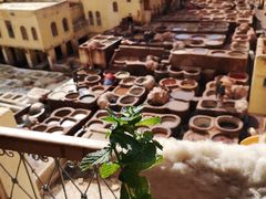 -穆莱拉赫制革厂