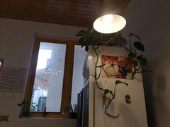 -About Bistro關於·泰式家庭料理