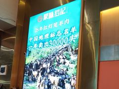 -聚味罗记大排檔·烧烤·鲜鱼杂·甲鱼煲(科学馆店)