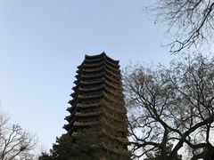 -农园餐厅(北京大学店)