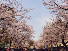 -南京城墙景区