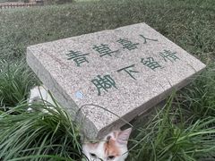 -西园戒幢律寺