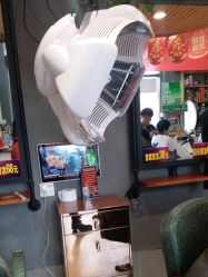 -东方美妍小鹏造型