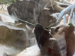 -宁波野生动物园