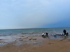 -观澜小洱海