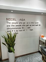 -MODEL SAGA名媛世家