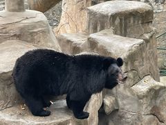 -石家庄市动物园