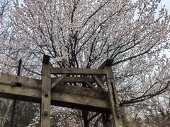 -北京张裕爱斐堡酒庄