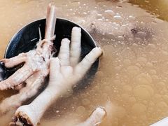 -花悦农庄 | 烧鸡·竹筒饭(沙迳高沙温泉香溪堡店)