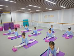 -艾莎舞蹈(中南大厦校区)