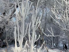 -水磨沟公园