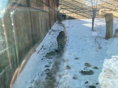 -新疆天山野生动物园