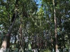 -桤木河湿地公园