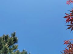 -石岛赤山风景区