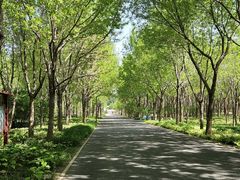 -东郊湿地公园