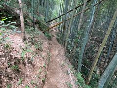 -莫干山风景区