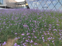 -聚德福海鲜家常菜(刘庄店)