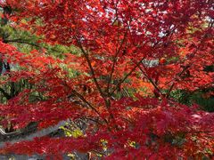 -秦岭终南山世界地质公园翠华山景区