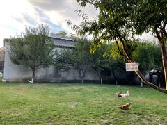 -春风习习