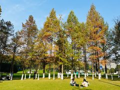 -重庆中央公园(渝北区)