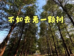 -上海海湾国家森林公园