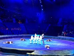 -珠海横琴长隆《卡卡虎奇遇记》