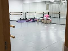 -中央芭蕾舞团·中芭艺蕾(酒仙桥明星校区)