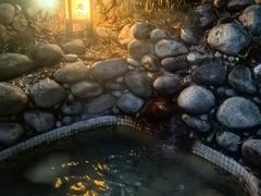 -三江森林温泉度假区