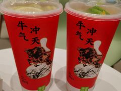 -奈雪的茶(青岛卓悦里INTOWN店)