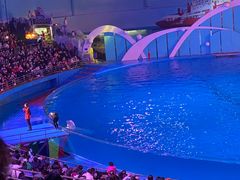 -海合安青岛极地海洋公园