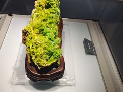 -安徽省地质博物馆