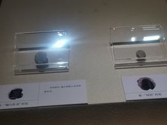 -南越王博物院(王宫展区)