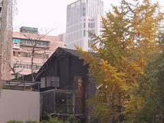 -树厨贵州菜(大十字店)