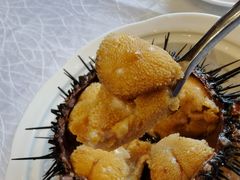 海胆-奕景海鲜(星海广场店)