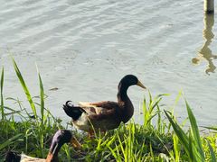 -昆山城市生态森林公园